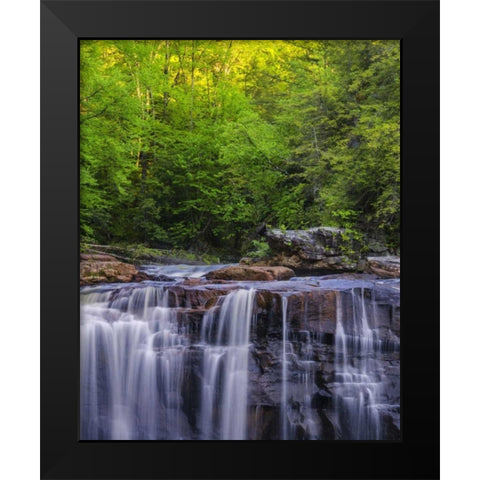West Virginia, Davis, Blackwater Falls The falls Black Modern Wood Framed Art Print by OBrien, Jay