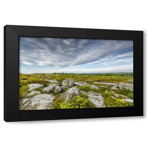 WV, Landscape in Dolly Sods Wilderness Area Black Modern Wood Framed Art Print by OBrien, Jay