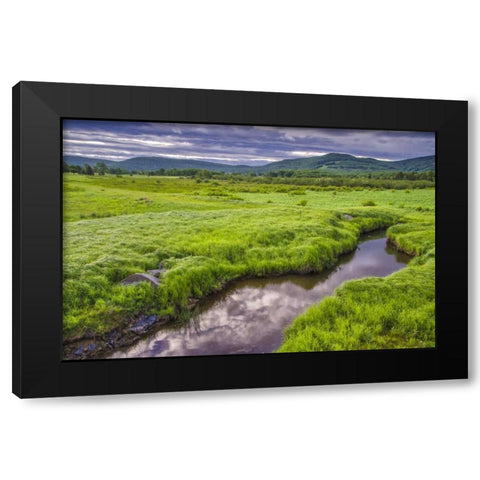 WV, Davis Landscape of the Canaan Valley Black Modern Wood Framed Art Print by OBrien, Jay