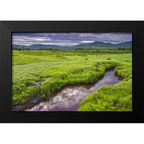 WV, Davis Landscape of the Canaan Valley Black Modern Wood Framed Art Print by OBrien, Jay
