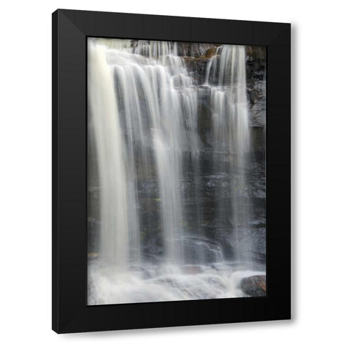 West Virginia, Davis, Blackwater Falls The falls Black Modern Wood Framed Art Print with Double Matting by OBrien, Jay