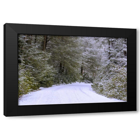 WV, Blackwater Falls Snowy road through forest Black Modern Wood Framed Art Print with Double Matting by OBrien, Jay