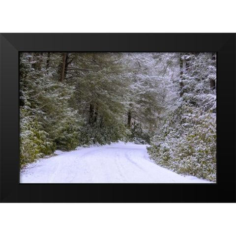 WV, Blackwater Falls Snowy road through forest Black Modern Wood Framed Art Print by OBrien, Jay