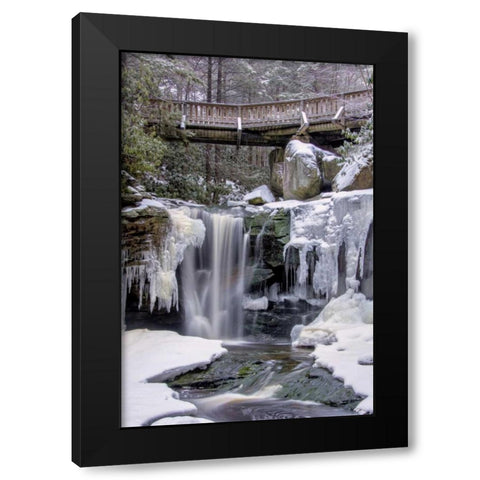 WV, Blackwater Falls SP Bridge and waterfall Black Modern Wood Framed Art Print by OBrien, Jay
