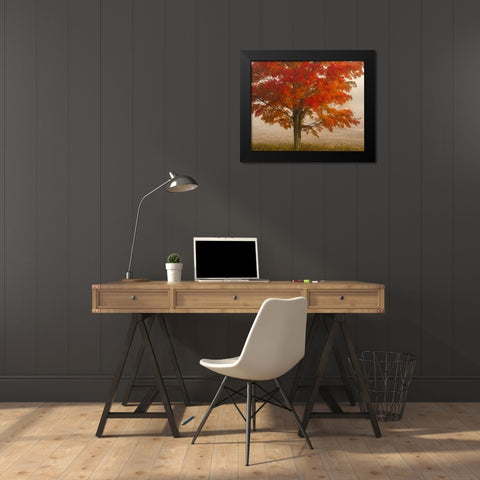 West Virginia, Canaan Valley SP Tree in autumn Black Modern Wood Framed Art Print by OBrien, Jay