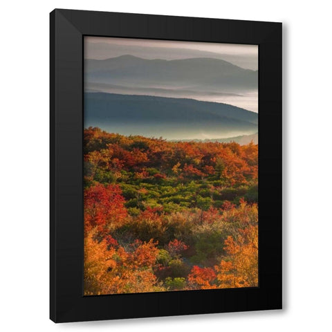 WV, Dolly Sods Wilderness Sunrise landscape Black Modern Wood Framed Art Print by OBrien, Jay
