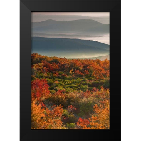 WV, Dolly Sods Wilderness Sunrise landscape Black Modern Wood Framed Art Print by OBrien, Jay
