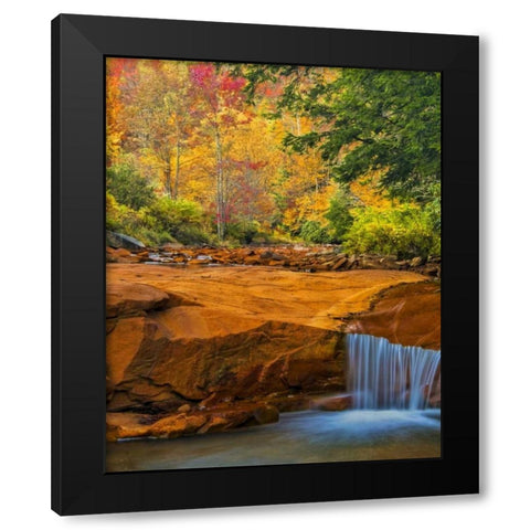 WV, Douglass Falls Waterfall over rock outcrop Black Modern Wood Framed Art Print by OBrien, Jay