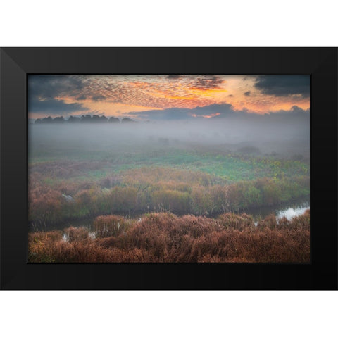 USA-West Virginia-Davis Fog over stream in valley at sunrise Black Modern Wood Framed Art Print by Jaynes Gallery