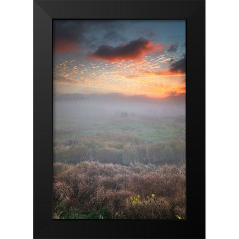 USA-West Virginia-Davis Fog over stream in valley at sunrise Black Modern Wood Framed Art Print by Jaynes Gallery