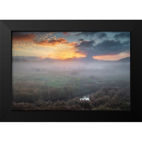 USA-West Virginia-Davis Fog over stream in valley at sunrise Black Modern Wood Framed Art Print by Jaynes Gallery