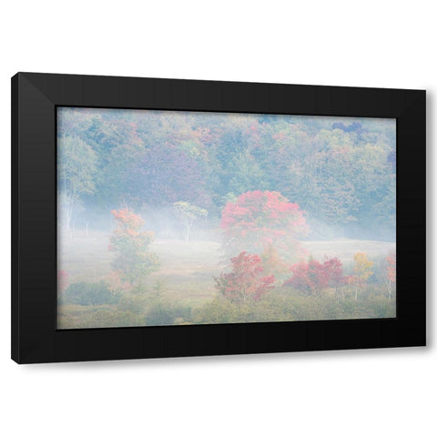 USA-West Virginia-Davis Foggy forest in fall colors Black Modern Wood Framed Art Print by Jaynes Gallery