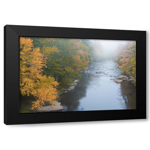 USA-West Virginia-Davis Foggy stream in Blackwater State Park Black Modern Wood Framed Art Print with Double Matting by Jaynes Gallery