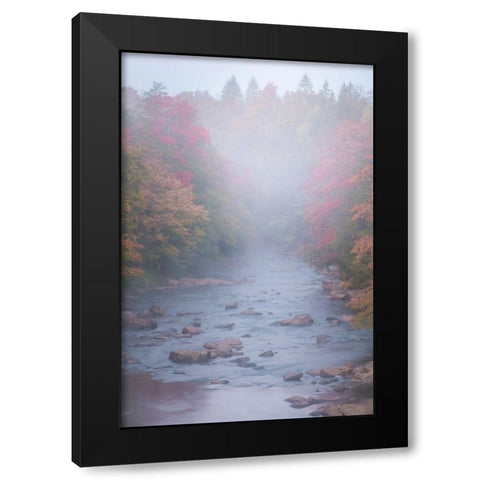 USA-West Virginia-Davis Foggy stream in Blackwater State Park Black Modern Wood Framed Art Print with Double Matting by Jaynes Gallery
