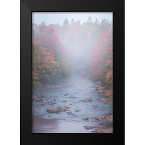 USA-West Virginia-Davis Foggy stream in Blackwater State Park Black Modern Wood Framed Art Print by Jaynes Gallery