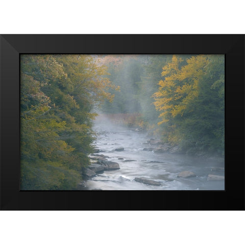 USA-West Virginia-Davis Foggy stream in Blackwater State Park Black Modern Wood Framed Art Print by Jaynes Gallery