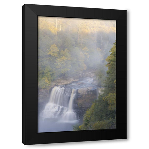USA-West Virginia-Davis Overview of waterfall in Blackwater State Park Black Modern Wood Framed Art Print by Jaynes Gallery