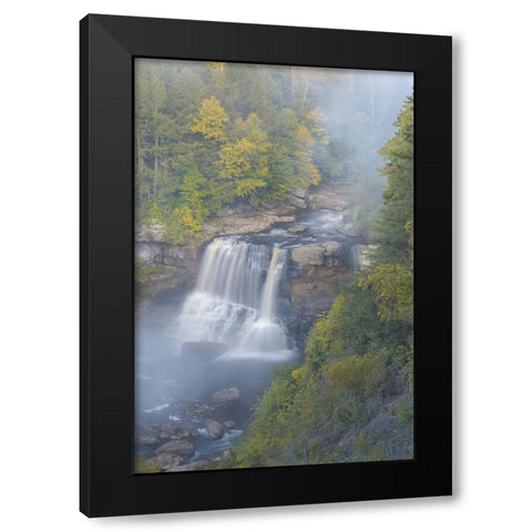 USA-West Virginia-Davis Overview of waterfall in Blackwater State Park Black Modern Wood Framed Art Print by Jaynes Gallery