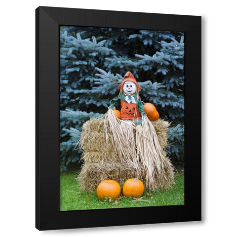 Wisconsin Autumn haystack and Halloween decor Black Modern Wood Framed Art Print with Double Matting by Flaherty, Dennis