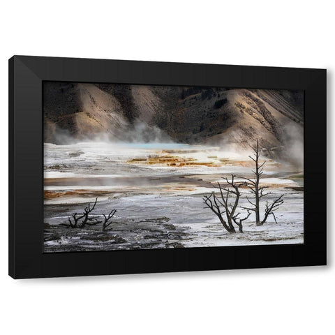 Black tree trunks and colorful hot spring terrace-Canary Spring-Mammoth Hot Springs Black Modern Wood Framed Art Print by Jones, Adam