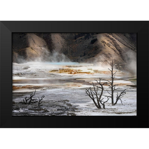 Black tree trunks and colorful hot spring terrace-Canary Spring-Mammoth Hot Springs Black Modern Wood Framed Art Print by Jones, Adam