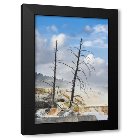 Black tree trunks and colorful terrace-Mammoth Hot Springs-Yellowstone National Park-Wyoming Black Modern Wood Framed Art Print by Jones, Adam
