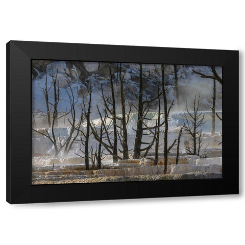 Black tree trunks and terrace-Mammoth Hot Springs-Yellowstone National Park-Wyoming Black Modern Wood Framed Art Print by Jones, Adam