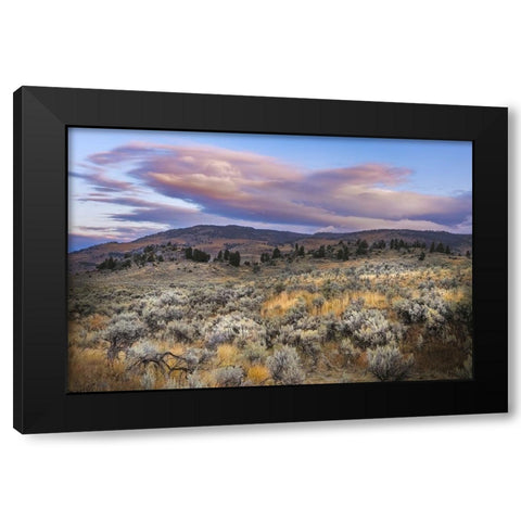 Mountain big sagebrush at sunrise-Lamar Valley-Yellowstone National Park-Wyoming Black Modern Wood Framed Art Print with Double Matting by Jones, Adam
