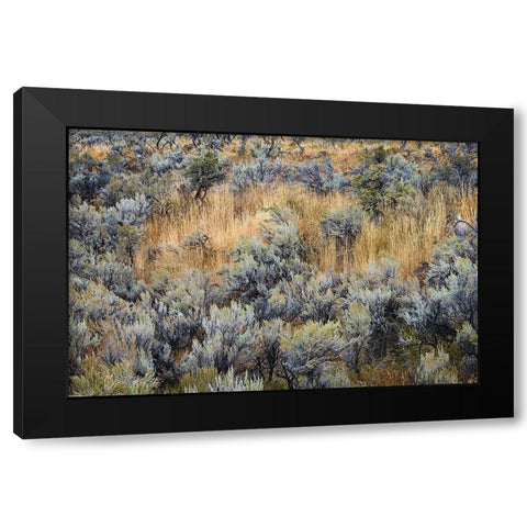 Mountain big sagebrush-Yellowstone National Park-Wyoming Black Modern Wood Framed Art Print by Jones, Adam