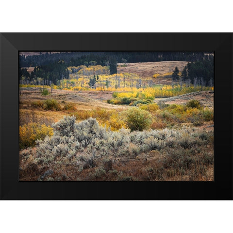 Scenic landscape view of Lamar Valley with aspen trees and sagebrush-Yellowstone National Park Black Modern Wood Framed Art Print by Jones, Adam