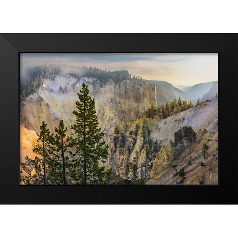 View from Artist Point at sunrise-Grand Canyon of Yellowstone-Yellowstone National Park-Wyoming Black Modern Wood Framed Art Print by Jones, Adam