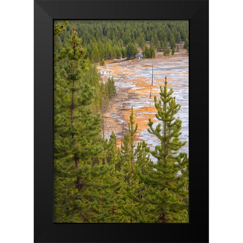 Elevated view of runoff water and bacterial mat-Grand Prismatic spring Black Modern Wood Framed Art Print by Jones, Adam