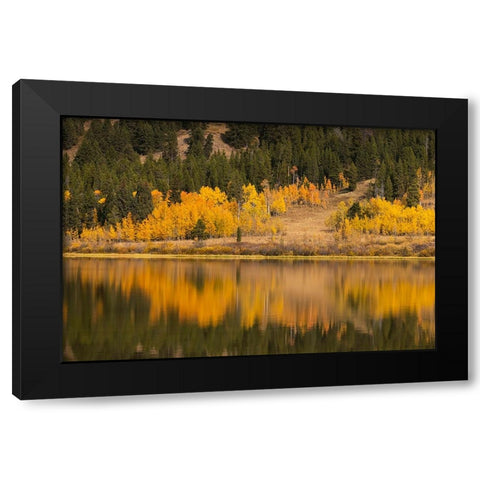 Autumn view of willows and aspen trees along shoreline of Two Ocean Lake-Grand Teton National Park Black Modern Wood Framed Art Print with Double Matting by Jones, Adam