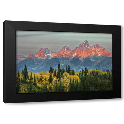 Autumn view of Teton Range at sunrise-Grand Teton National Park-Wyoming Black Modern Wood Framed Art Print with Double Matting by Jones, Adam