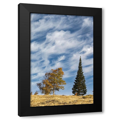 Two trees on ridge and cloud formation-Grand Teton National Park-Wyoming Black Modern Wood Framed Art Print by Jones, Adam