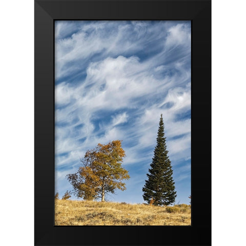 Two trees on ridge and cloud formation-Grand Teton National Park-Wyoming Black Modern Wood Framed Art Print by Jones, Adam