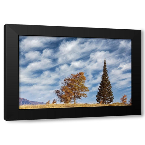 Two trees on ridge and cloud formation-Grand Teton National Park-Wyoming Black Modern Wood Framed Art Print by Jones, Adam