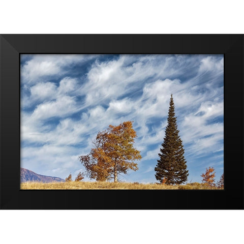 Two trees on ridge and cloud formation-Grand Teton National Park-Wyoming Black Modern Wood Framed Art Print by Jones, Adam