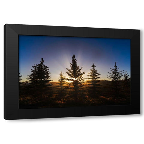 Pine trees silhouetted at sunset-Grand Teton National Park-Wyoming Black Modern Wood Framed Art Print by Jones, Adam