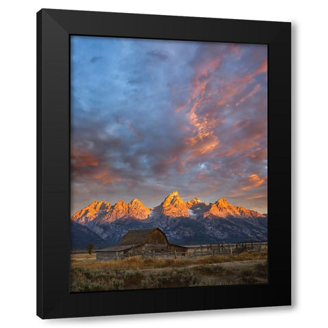 Historical Moulton barn at sunrise-Grand Teton National Park-Wyoming Black Modern Wood Framed Art Print by Jones, Adam