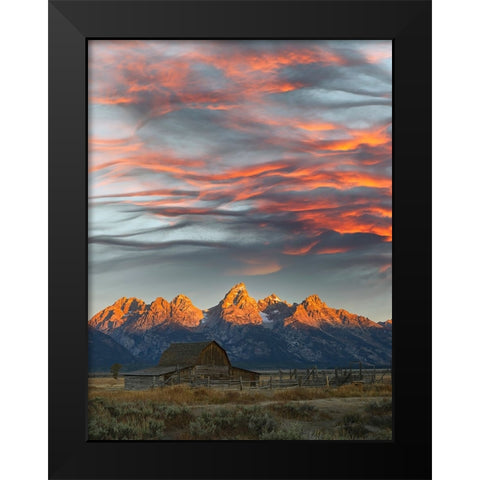 Historical Moulton barn at sunrise-Grand Teton National Park-Wyoming Black Modern Wood Framed Art Print by Jones, Adam