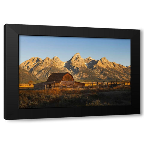 Historical Moulton barn at sunrise-Grand Teton National Park-Wyoming Black Modern Wood Framed Art Print by Jones, Adam
