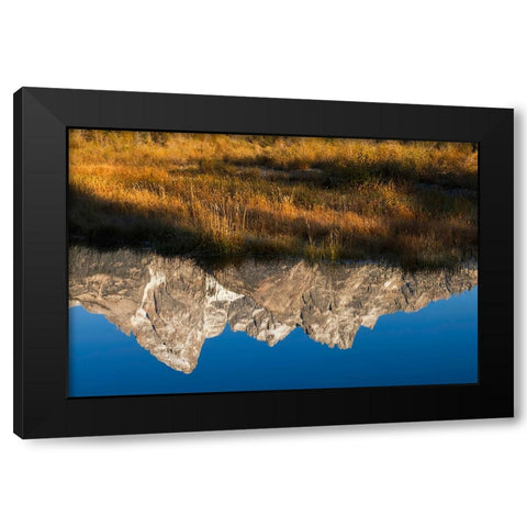 Teton Range reflected in Snake River from Schwabacher Landing-Grand Teton National Park-Wyoming Black Modern Wood Framed Art Print by Jones, Adam