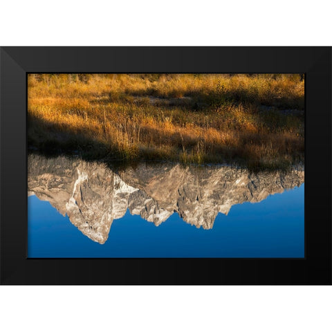 Teton Range reflected in Snake River from Schwabacher Landing-Grand Teton National Park-Wyoming Black Modern Wood Framed Art Print by Jones, Adam
