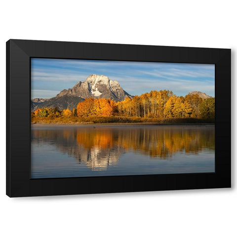 Autumn view of Mount Moran and Snake River-Grand Teton National Park-Wyoming Black Modern Wood Framed Art Print by Jones, Adam
