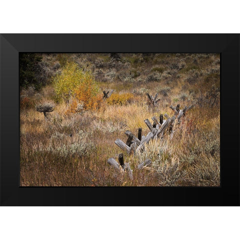 Rail fence in autumn-Grand Teton National Park-Wyoming Black Modern Wood Framed Art Print by Jones, Adam