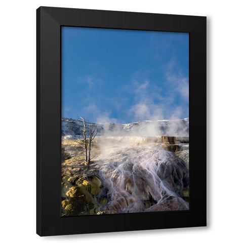 Colorful travertine slope with yellow and brown cyanobacteria-Mammoth Hot Springs Black Modern Wood Framed Art Print by Jones, Adam