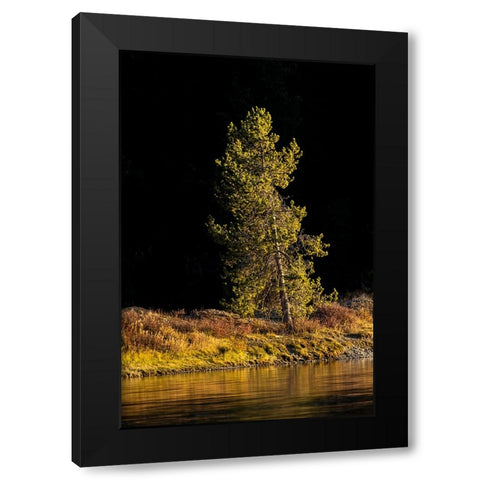 Tree on shoreline of Snake River at sunset-Grand Teton National Park-Wyoming Black Modern Wood Framed Art Print with Double Matting by Jones, Adam