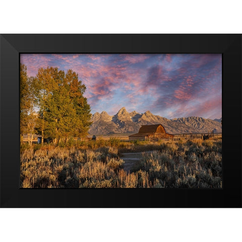 Moulton barn at sunrise and Teton Range-Grand Teton National Park-Wyoming Black Modern Wood Framed Art Print by Jones, Adam