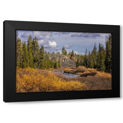 Columnar basalt formation at Sheepeater Cliffs-Yellowstone National Park-Wyoming Black Modern Wood Framed Art Print by Jones, Adam